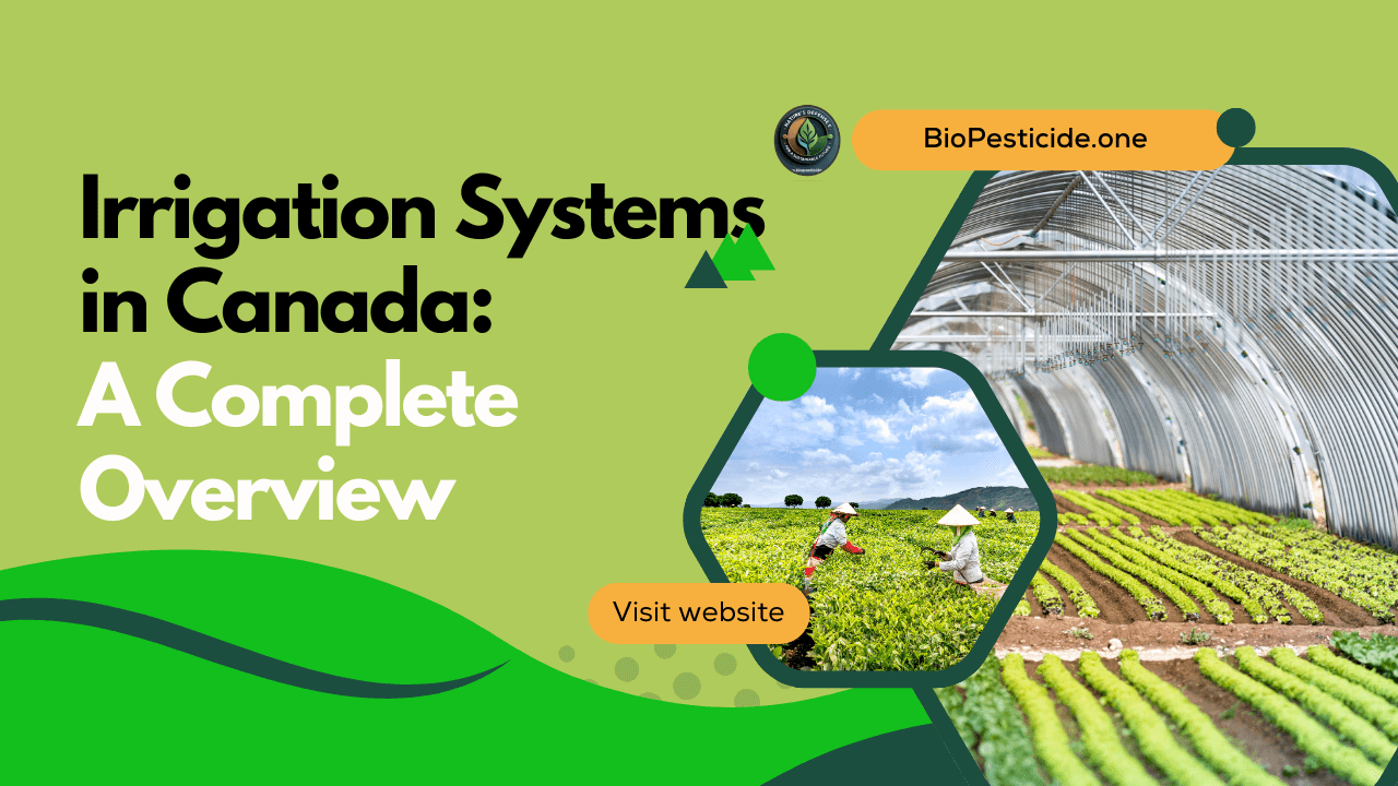 Irrigation Systems in Canada A Complete Overview - Read news
