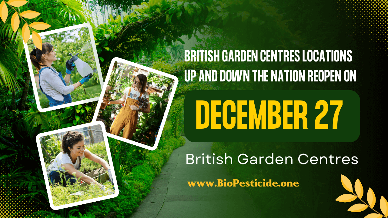 British Garden Centres Reopen Nationwide on 27 December - Read news