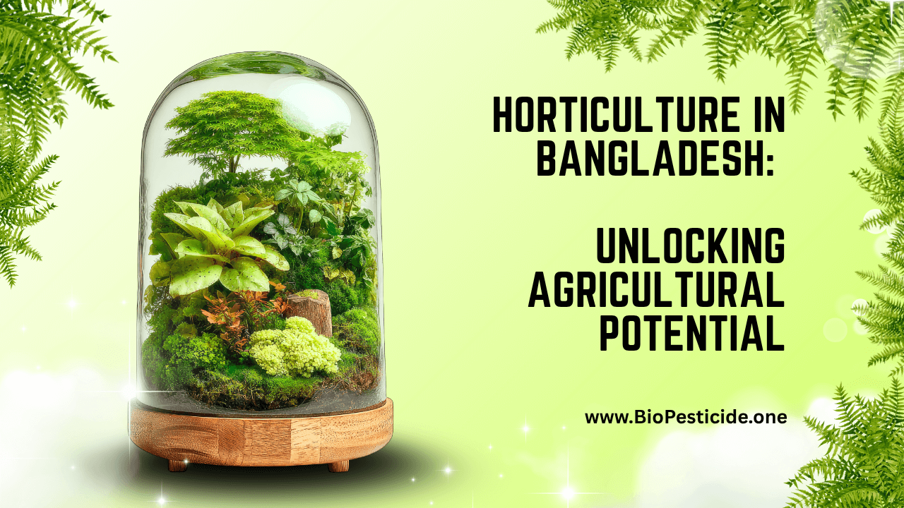 Horticulture in Bangladesh Unlocking Agricultural Potential - Read news