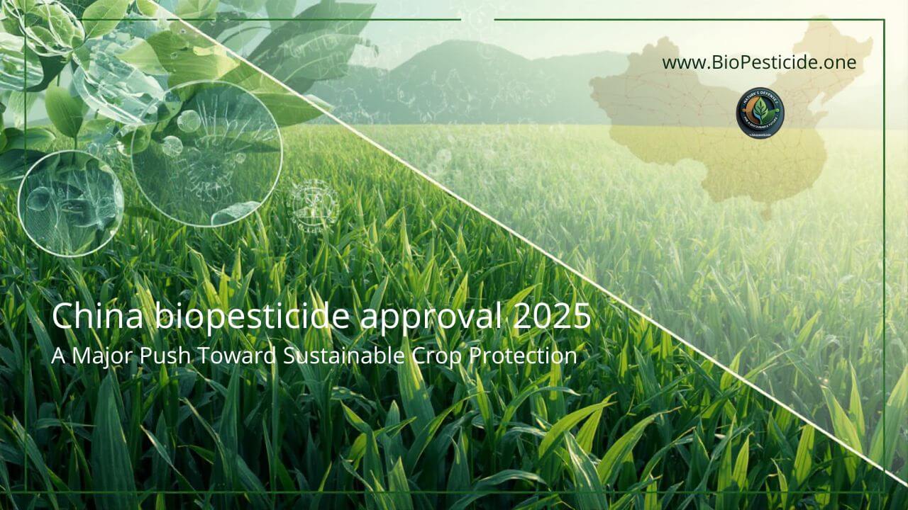 China Strengthens Sustainable Agriculture with 5 New Biopesticide Approvals - Read news