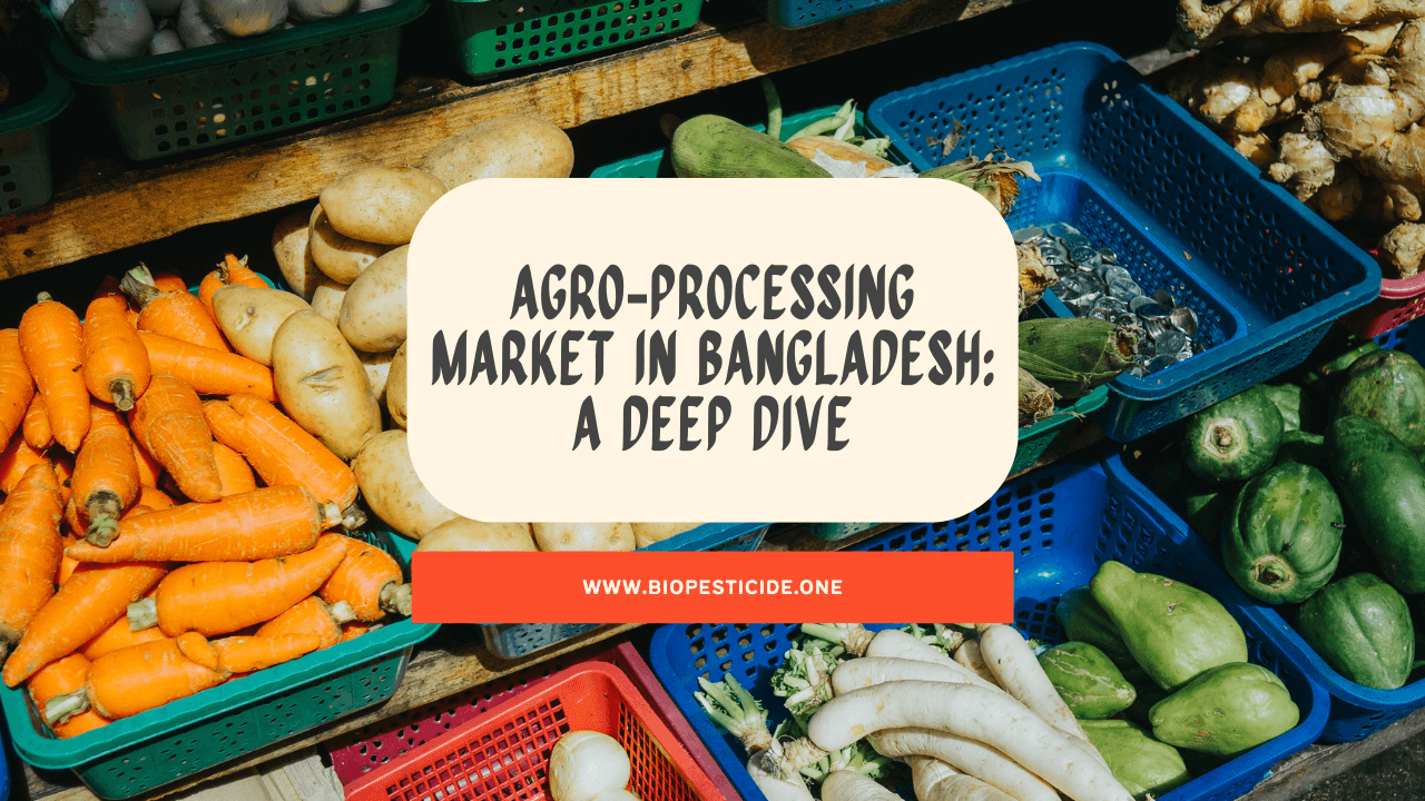 Agro‑Processing Market in Bangladesh A Deep Dive - Read news