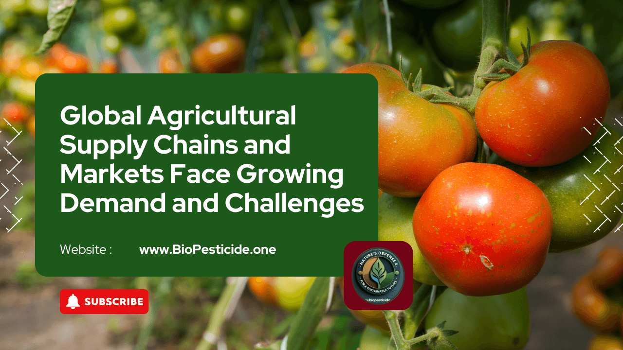 Global Agricultural Supply Chains and Markets Face Growing Demand and Challenges - Read news