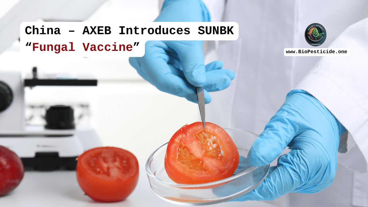 China – AXEB Introduces SUNBK “Fungal Vaccine” - Read news