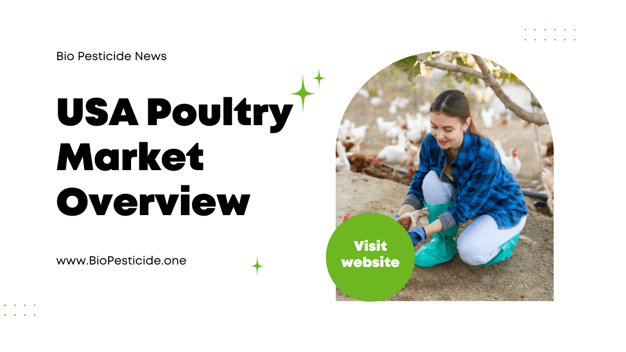 USA Poultry Market Overview - Read news