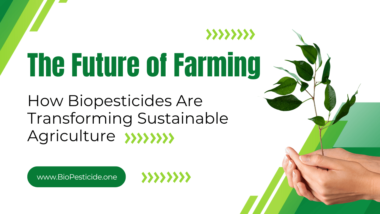 The Future of Farming How Biopesticides Are Transforming Sustainable Agriculture - Read news