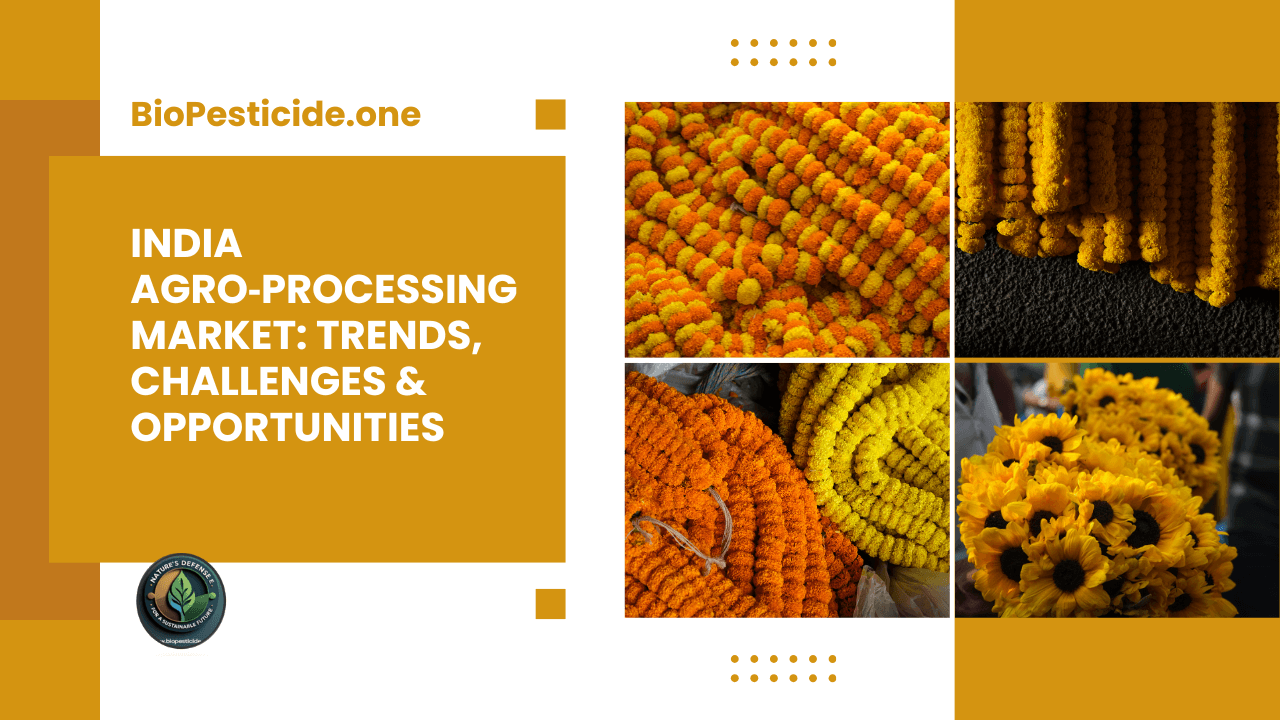 India Agro‑Processing Market Trends, Challenges & Opportunities - Read news