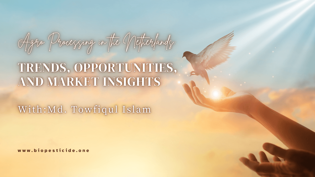 Trends, Opportunities, and Market Insights - Read news