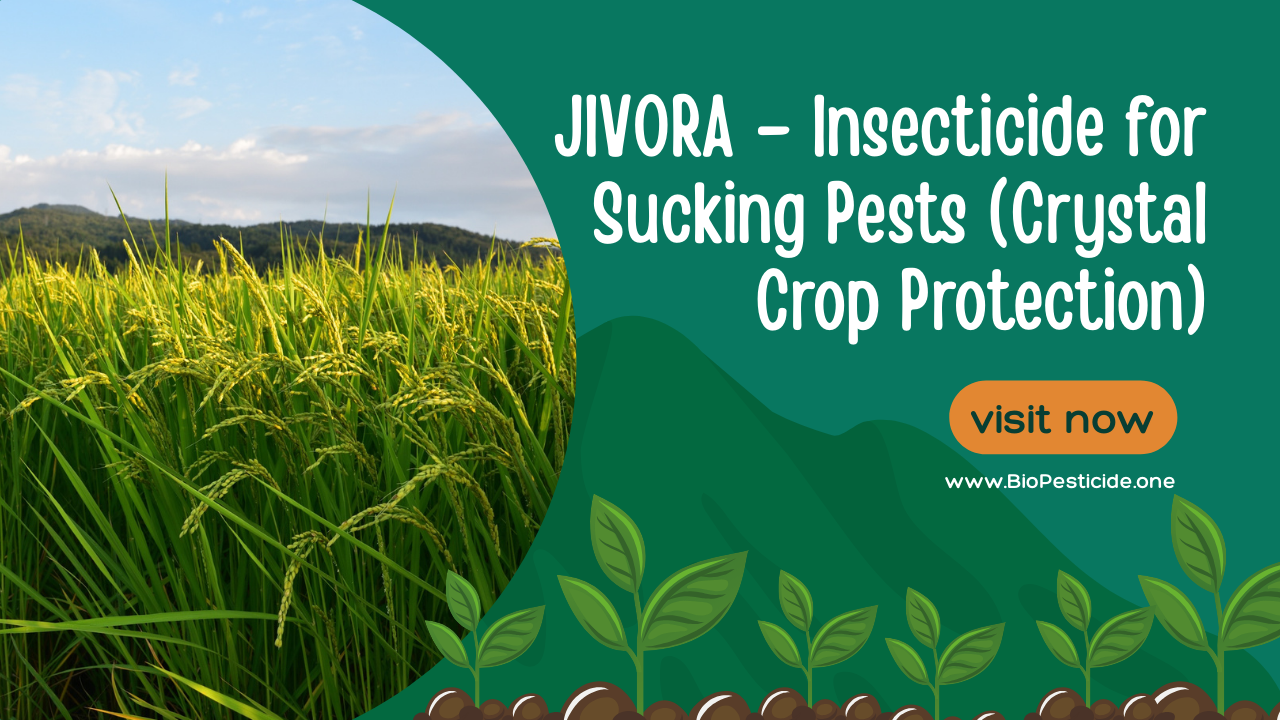 JIVORA – Insecticide for Sucking Pests (Crystal Crop Protection) - Read news
