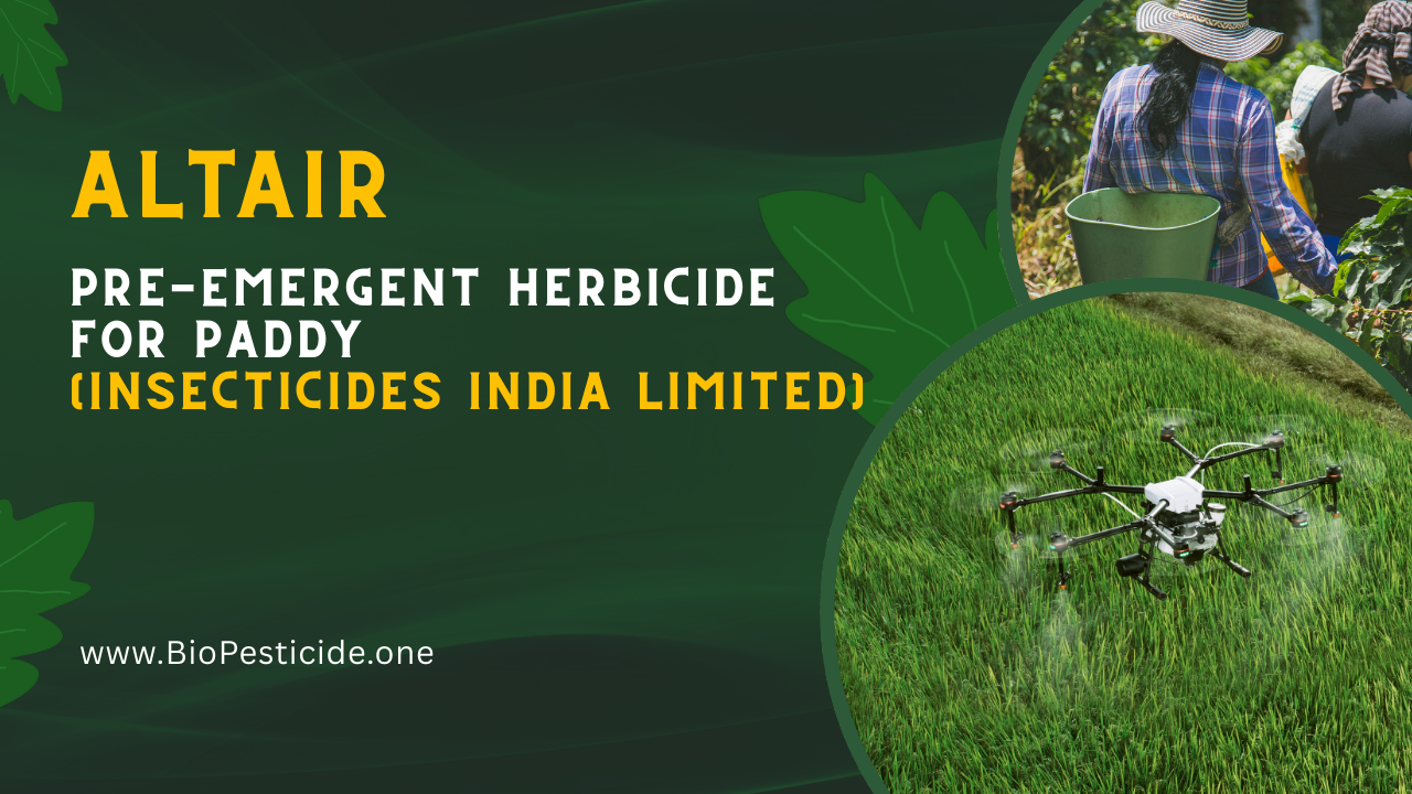 Altair – Pre‑Emergent Herbicide for Paddy (Insecticides India Limited) - Read news