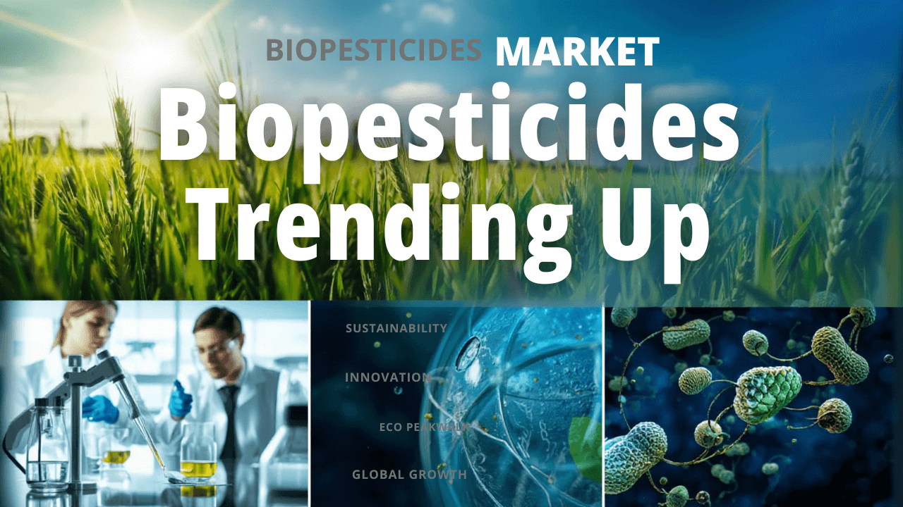 Biopesticides Market Trending Up - Read news