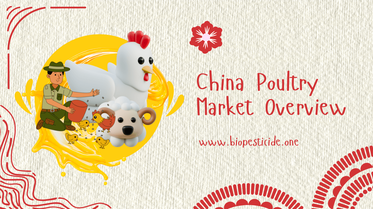 China Poultry Market Overview - Read news