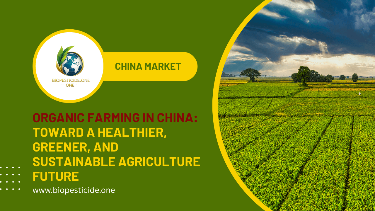 Organic Farming in China: Toward a Healthier, Greener, and Sustainable Agriculture Future - Read news