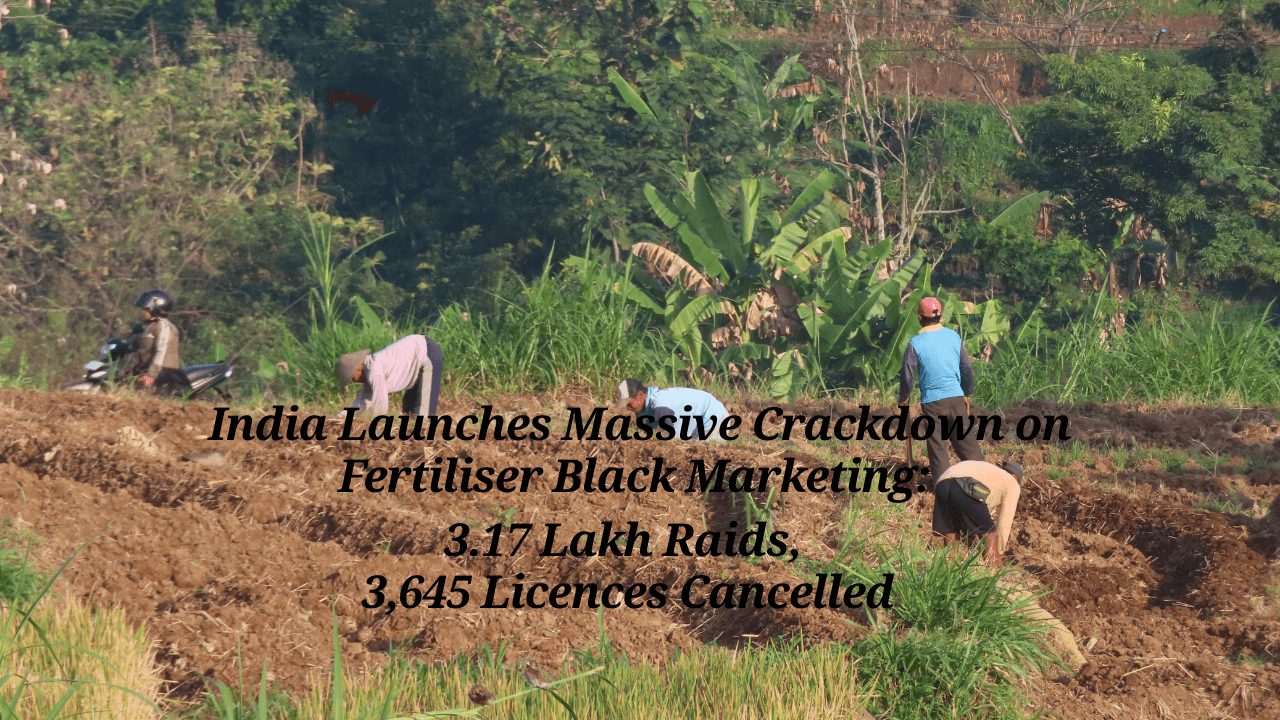 India Launches Massive Crackdown on Fertiliser Black Marketing: 3.17 Lakh Raids, 3,645 Licences Cancelled - Read the latest news