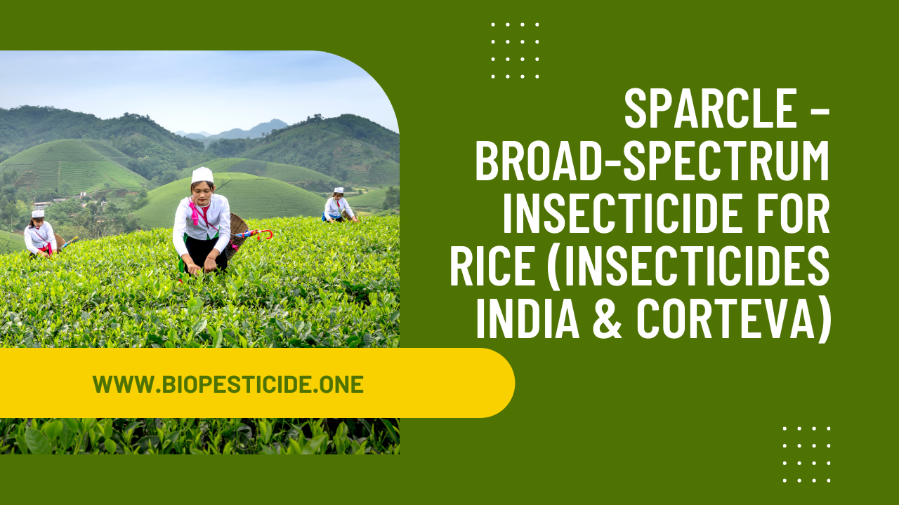 SPARCLE – Broad‑Spectrum Insecticide for Rice (Insecticides India & Corteva) - Read news