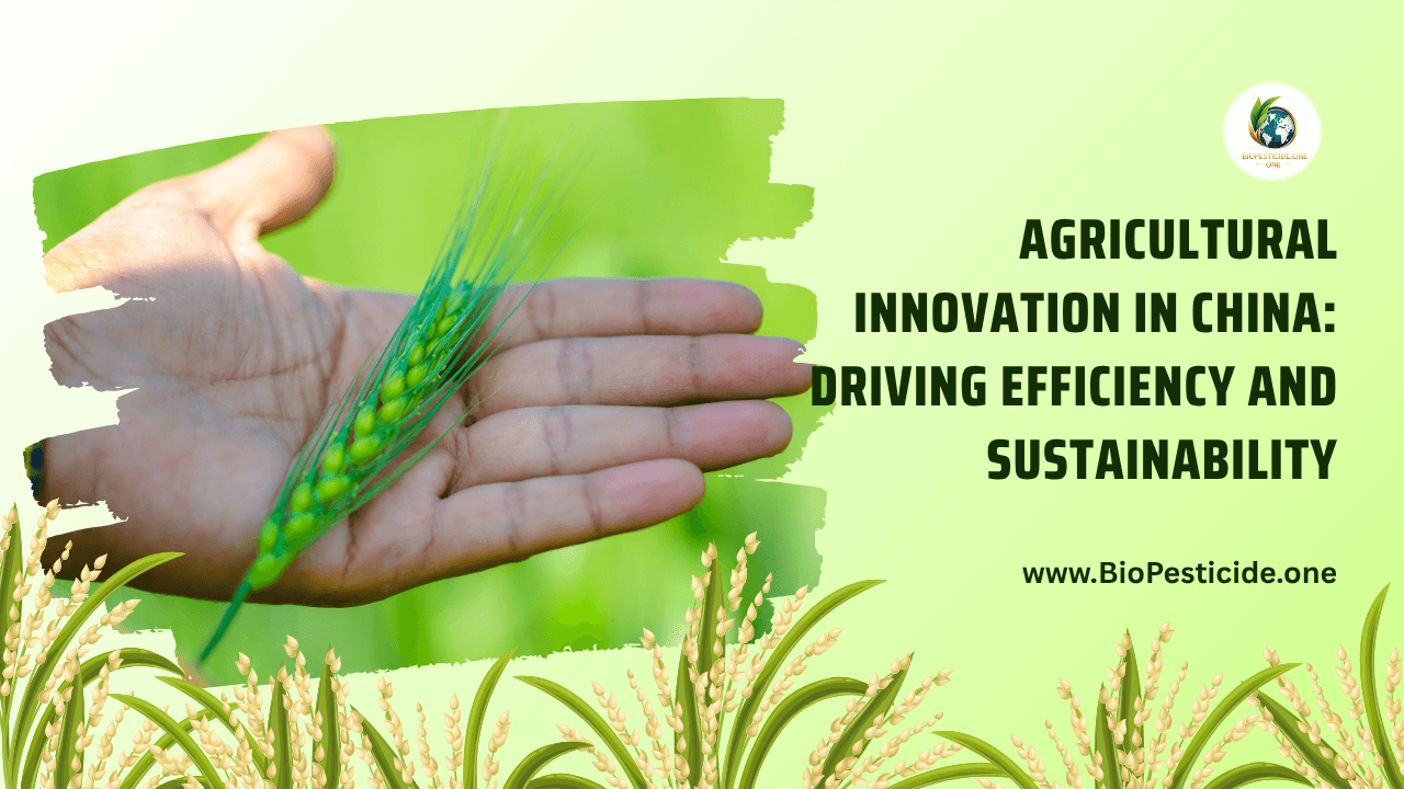 Agricultural Innovation in China Driving Efficiency and Sustainability - Read news