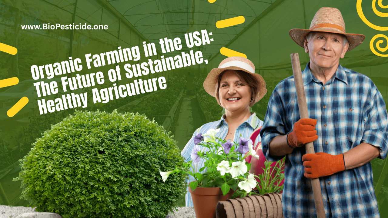 Organic Farming in the USA: The Future of Sustainable, Healthy Agriculture - Read news
