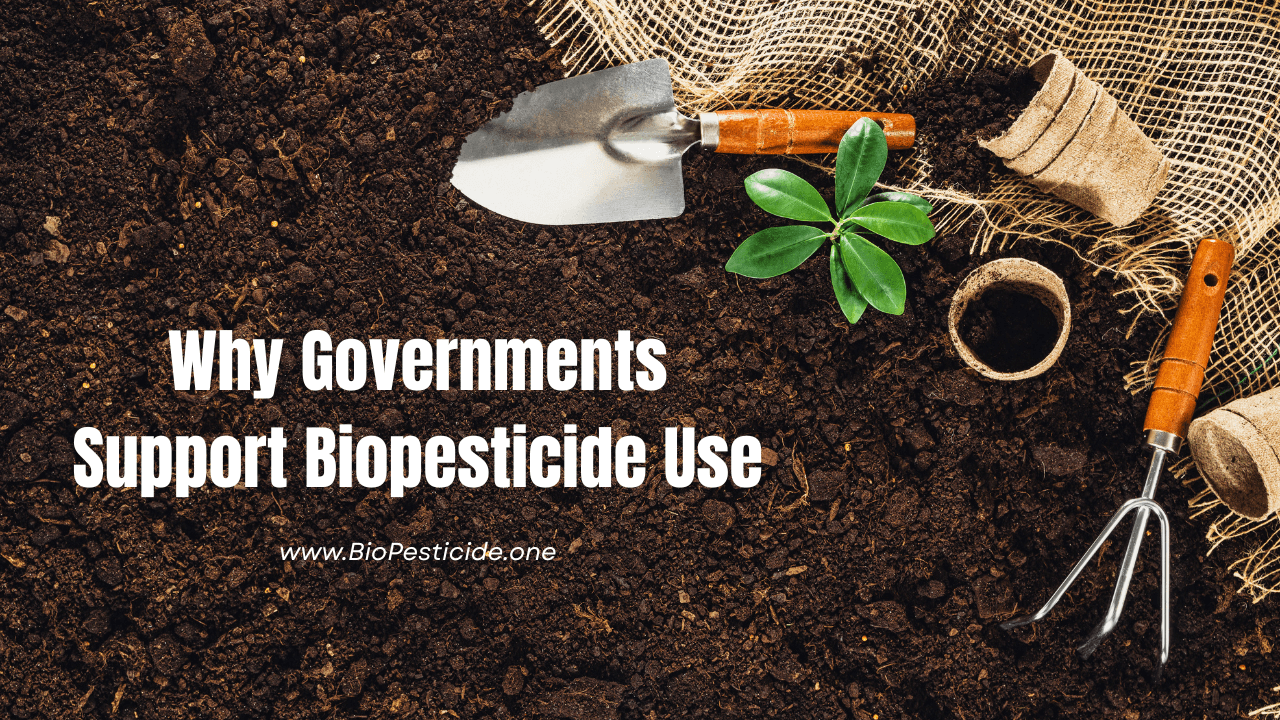 How BioPesticide.one Helps Farmers Grow Crops Safely - Read news