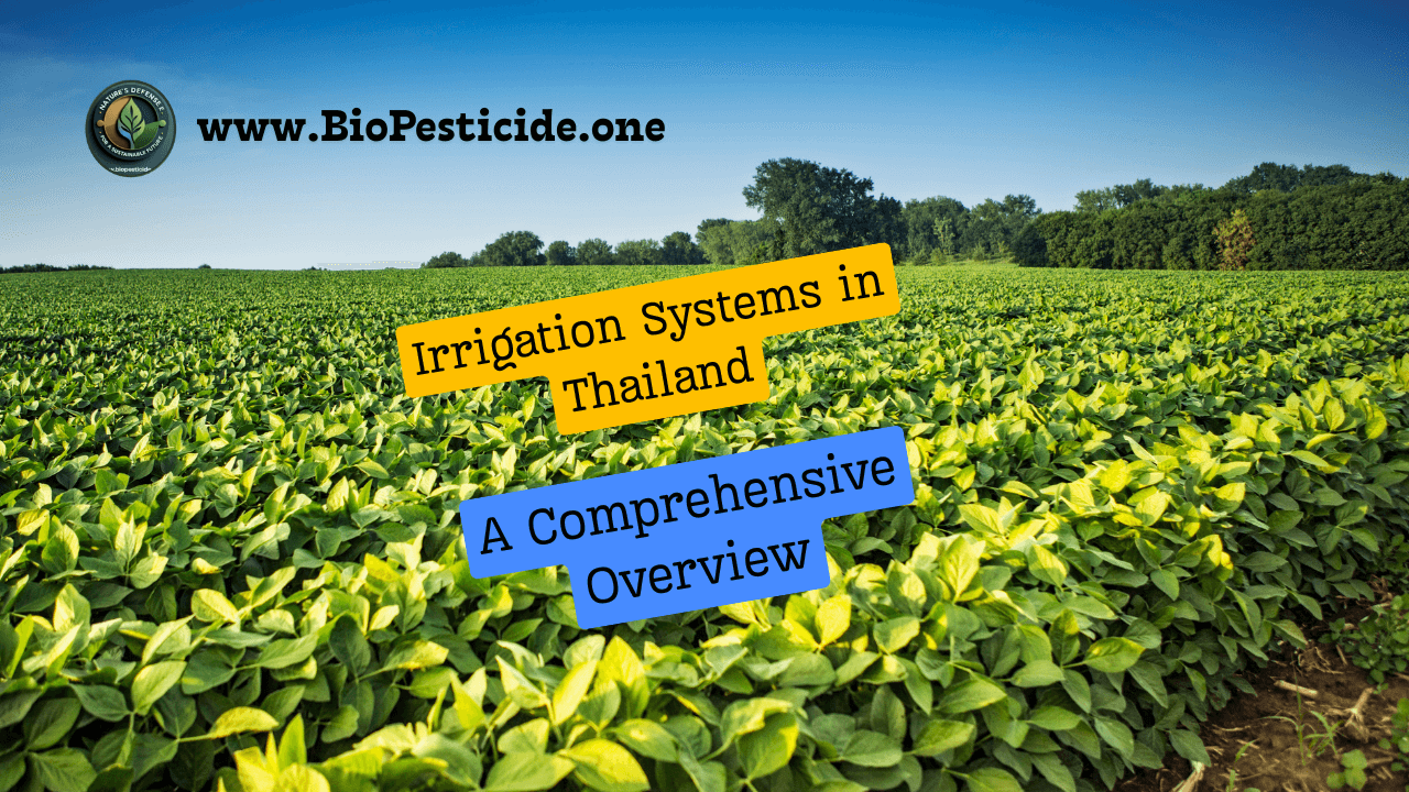 Irrigation Systems in Thailand: A Comprehensive Overview - Read news