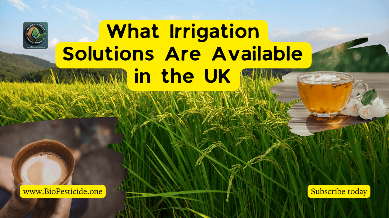 What Irrigation Solutions Are Available in the UK - Read the latest news