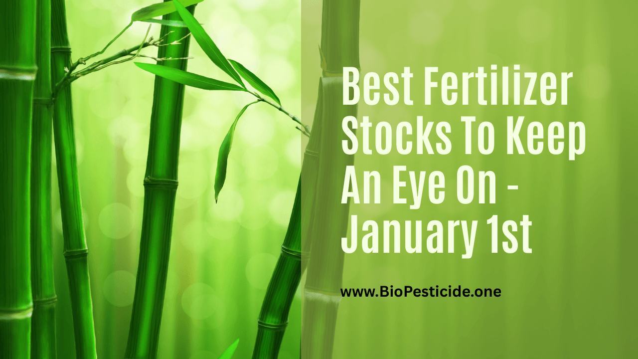 Best Fertilizer Stocks To Keep An Eye On - January 1st - Read news