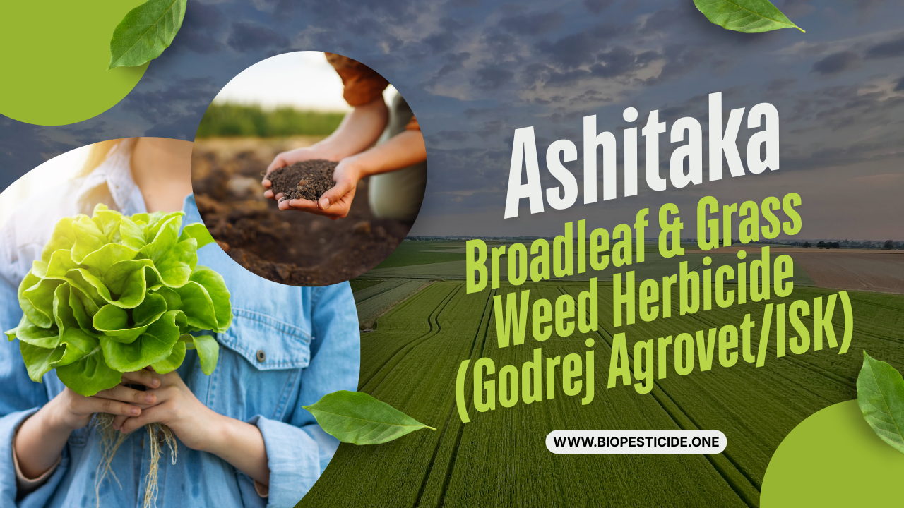 Ashitaka – Broadleaf & Grass Weed Herbicide (Godrej Agrovet/ISK) - Read news