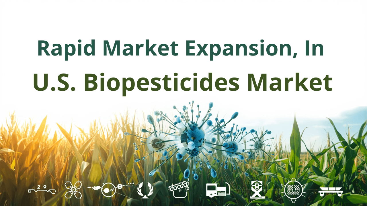 Rapid Market Expansion in the U.S - Read news