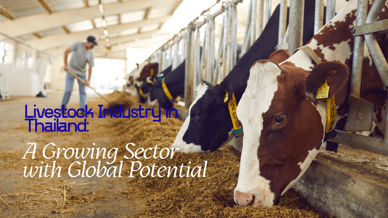 Livestock in Thailand Opportunities, Trends, and Growth Potential - Read news