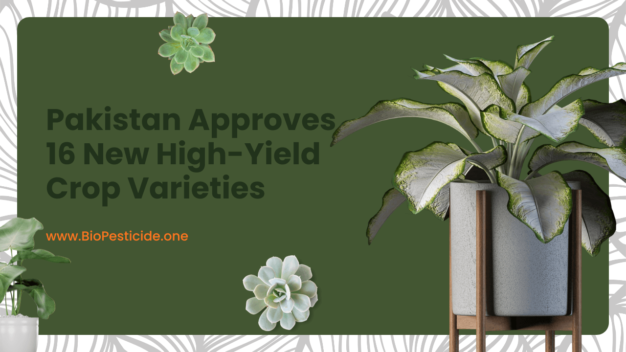 Pakistan Approves 16 New High-Yield Crop Varieties - Read the latest news